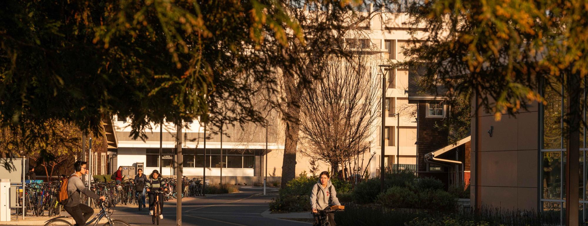 Campus is lit up by setting sun.
